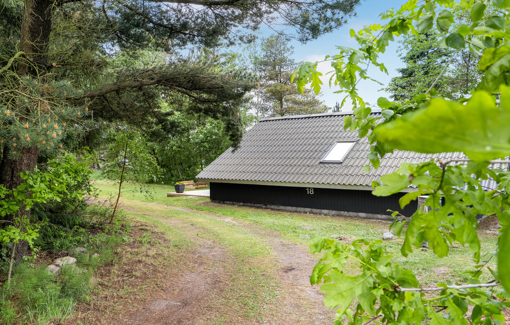 Ferienhaus - Kollerup Klit , Dänemark - B70118 8