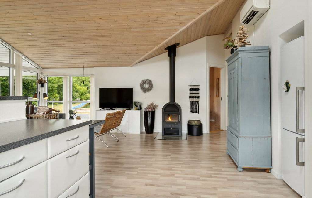 Ferienhaus - Kollerup Klit , Dänemark - B70025 5