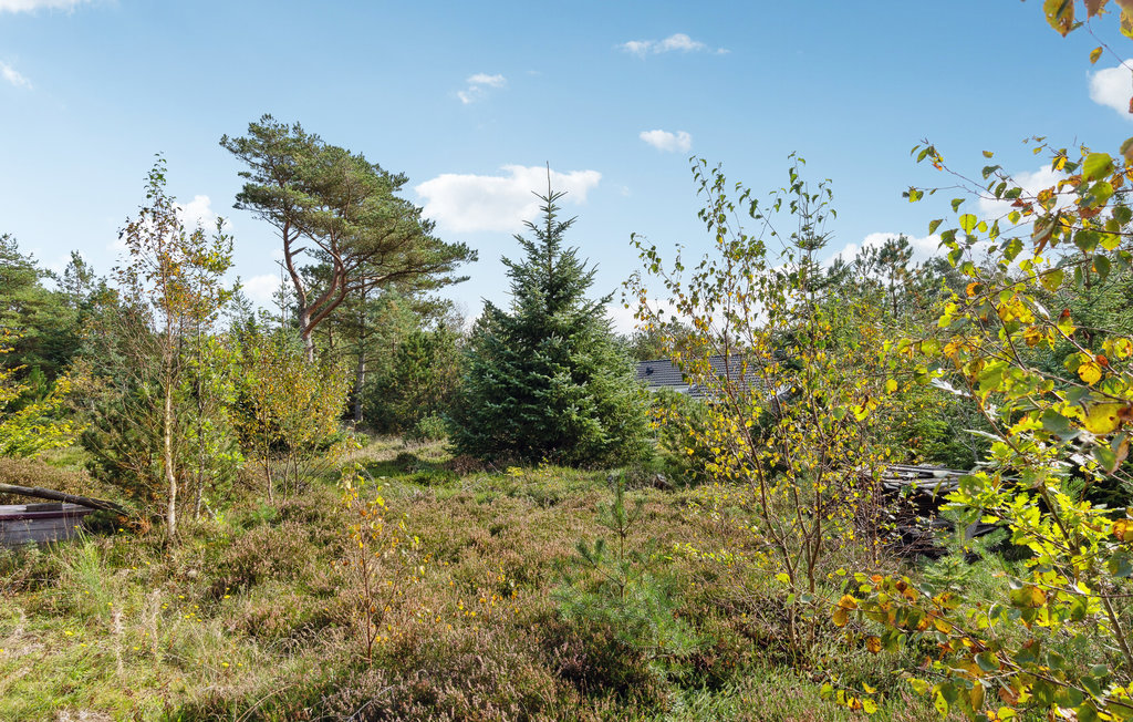 Feriehuse - Thorup Strand , Danmark - B70082 15