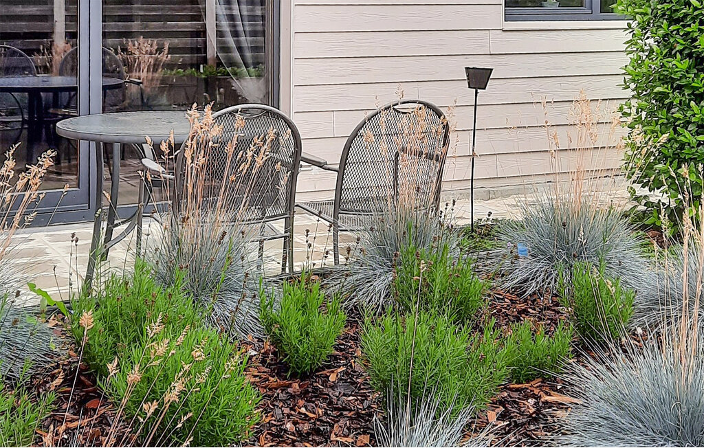 Semesterhus - Herselt , Belgien - BAN009 2