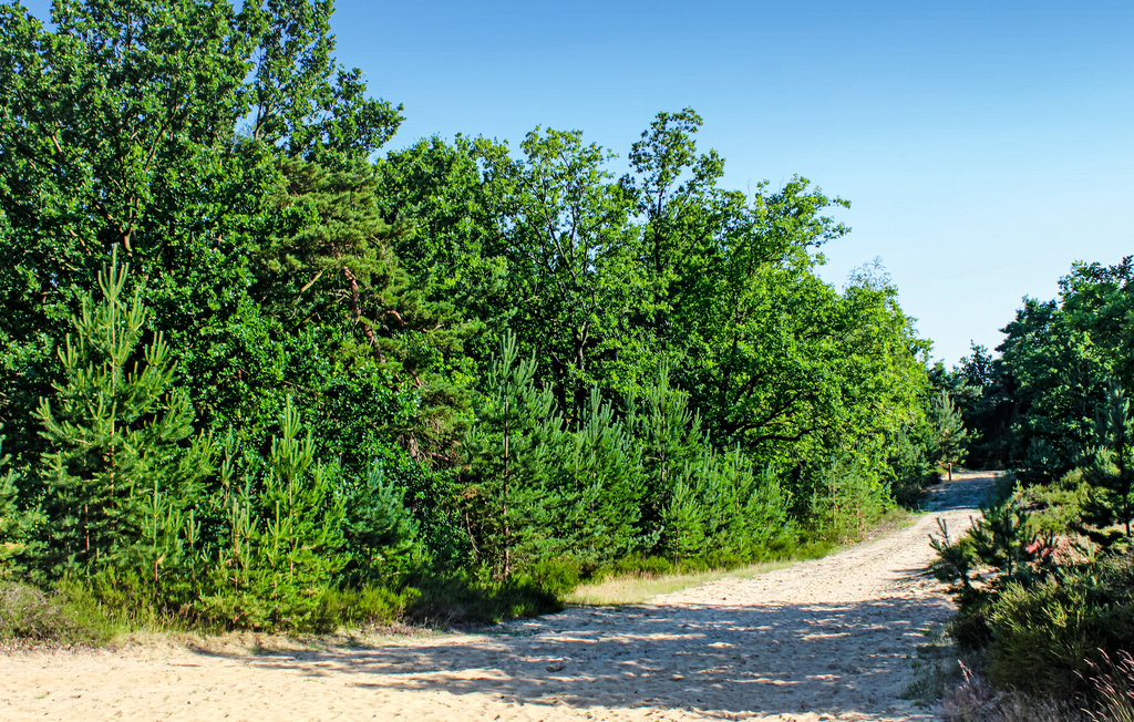 Feriehus - Meeuwen-Gruitrode , Belgia - BLI032 29