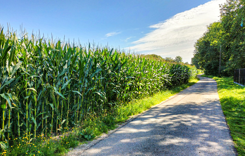 Semesterhus - As , Belgien - BLI036 12