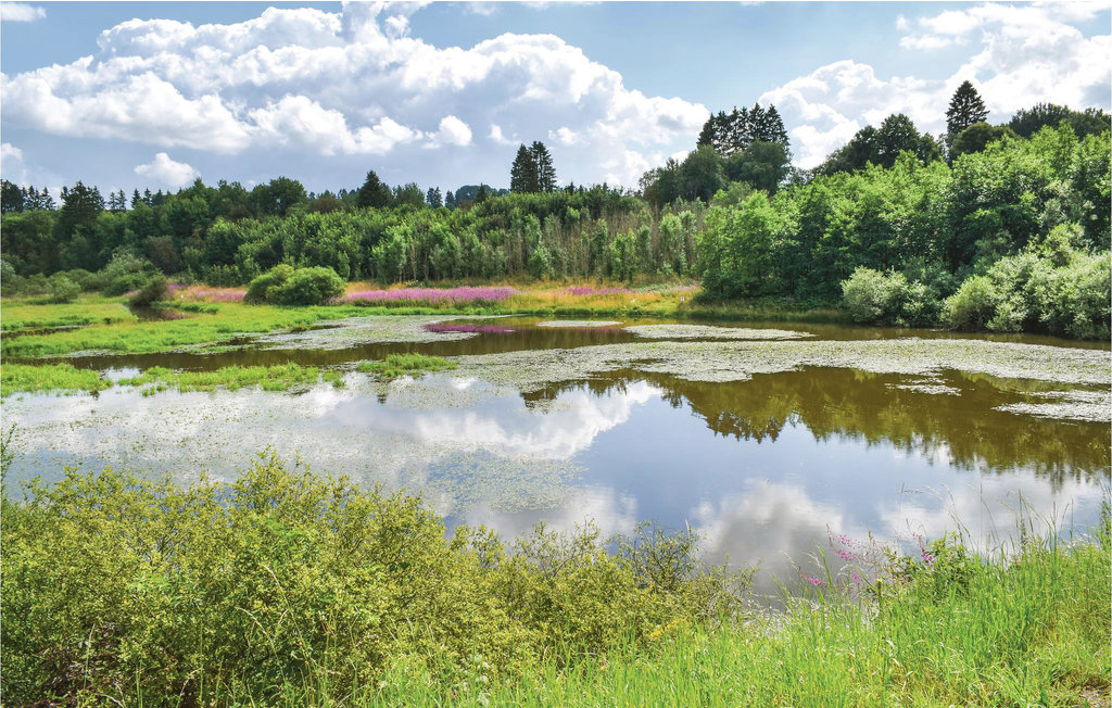 Lejlighed - Büllingen , Belgien - BLU104 22