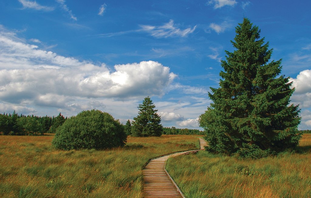 Feriehuse - Waimes , Belgien - BLU001 21