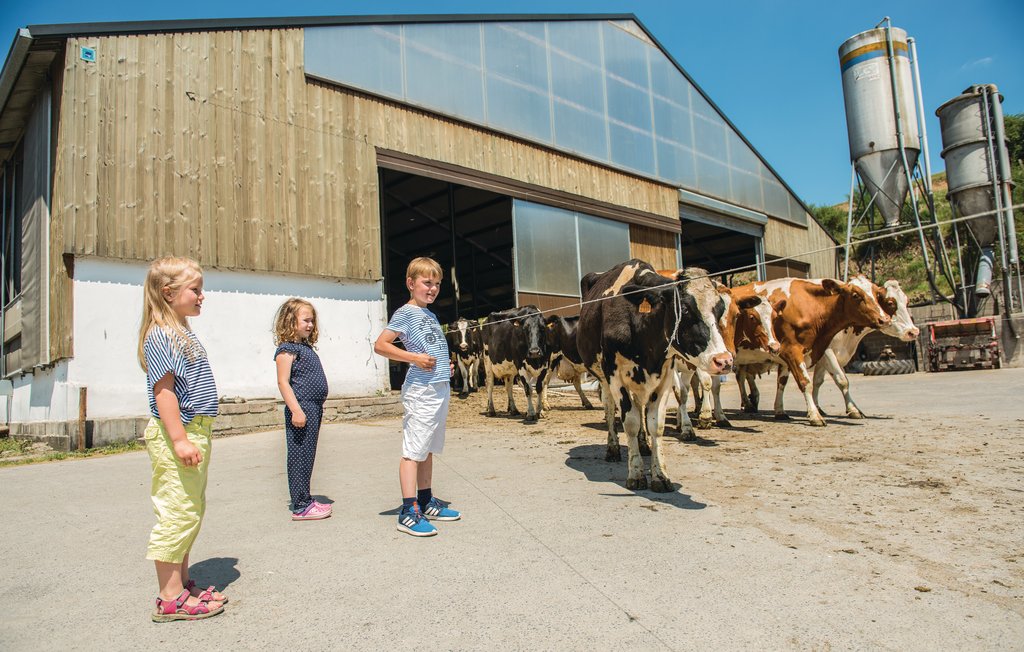 Ferienhaus - Steffeshausen , Belgien - BLU204 22