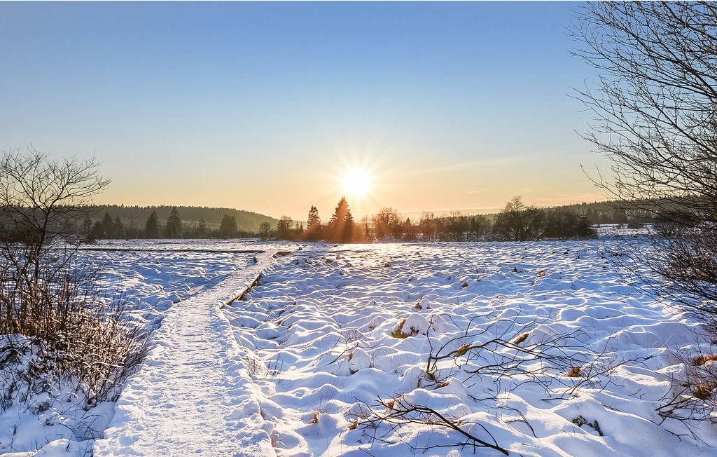 Ferienhaus - Robertville , Belgien - BLU002 18