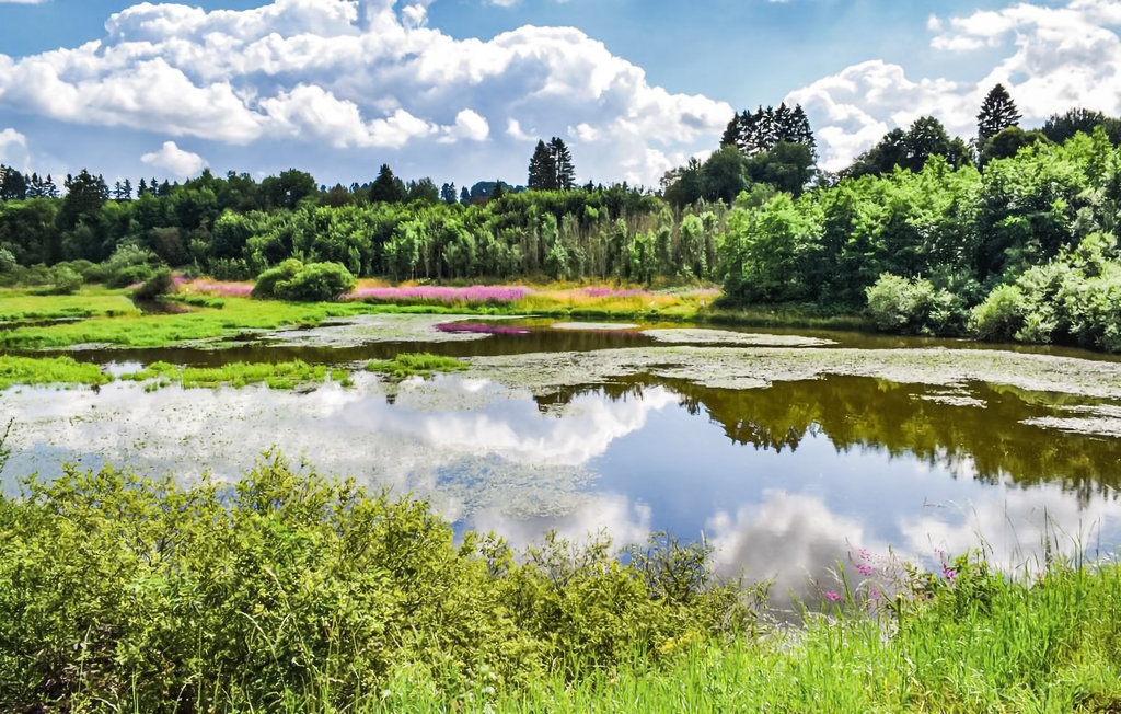 Feriehus - Waimes , Belgia - BLU059 23