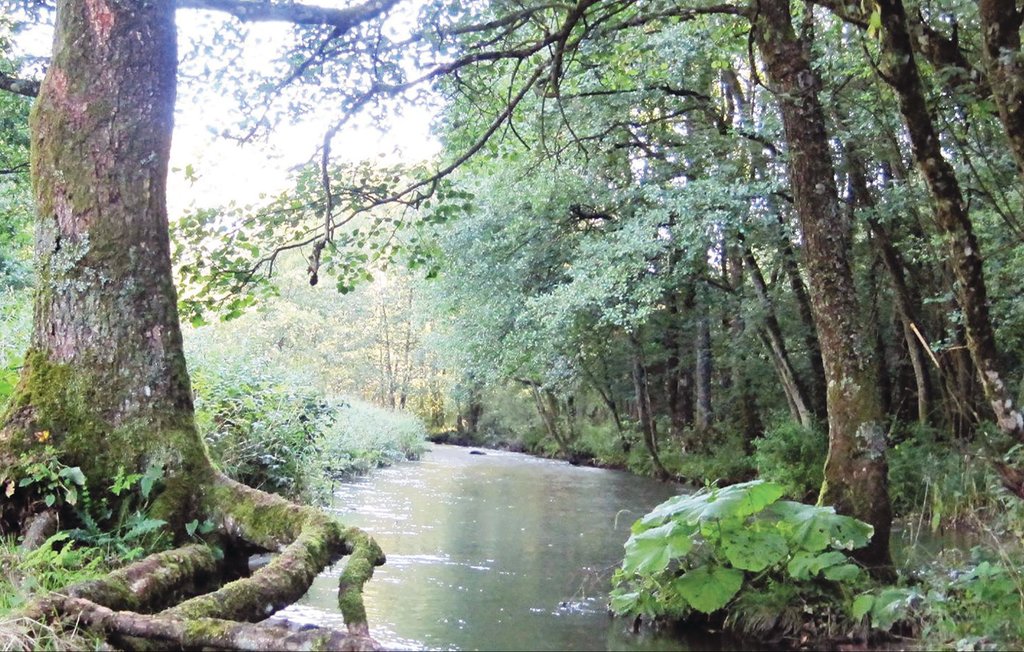 Feriehuse - Waimes , Belgien - BLU060 23