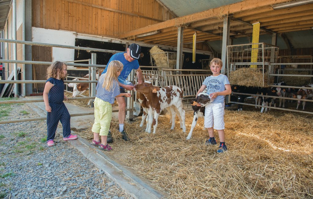Feriehus - Steffeshausen , Belgia - BLU209 24