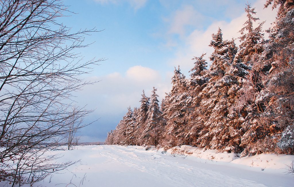 Feriehuse - Büllingen , Belgien - BLU075 22