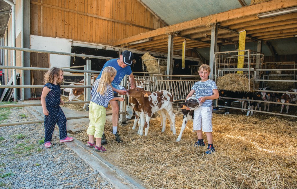 Ferienhaus - Steffeshausen , Belgien - BLU204 21