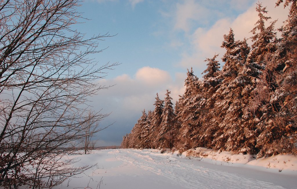 Feriehuse - Waimes , Belgien - BLU001 24