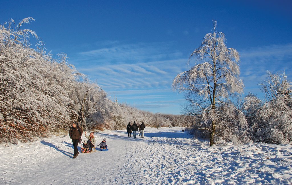Feriehuse - Waimes , Belgien - BLU001 25