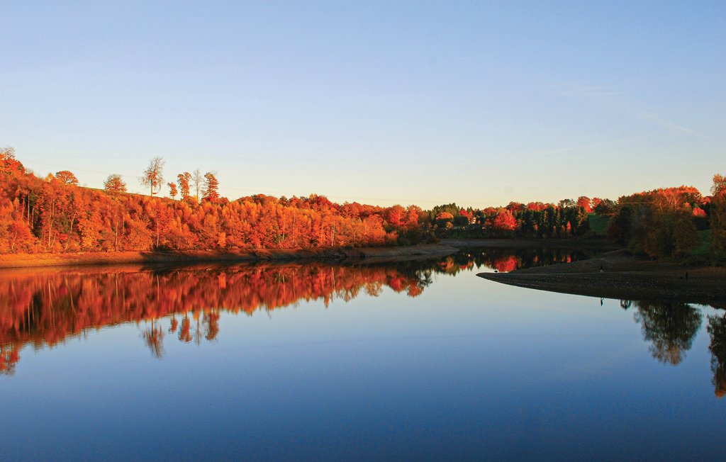 Ferienhaus - Robertville , Belgien - BLU002 22