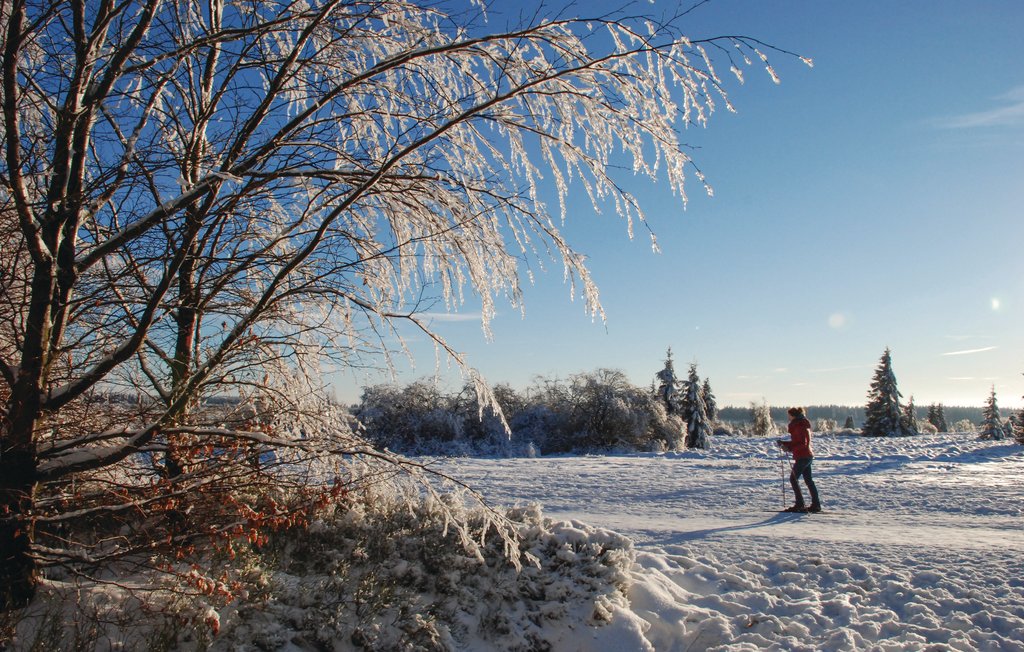 Feriehuse - Waimes , Belgien - BLU001 26