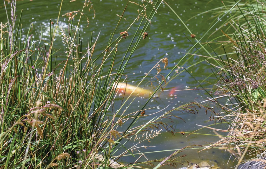 Feriehus - Waimes , Belgia - BLU079 25