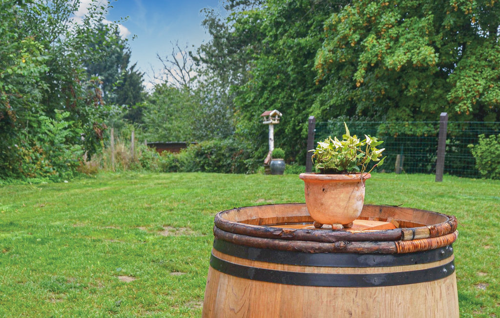 Ferienhaus - Erezée , Belgien - BLX136 20