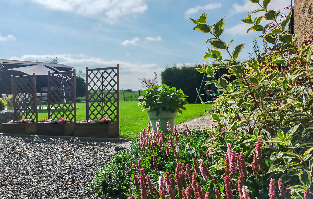 Feriehus - Houffalize , Belgia - BLX137 14