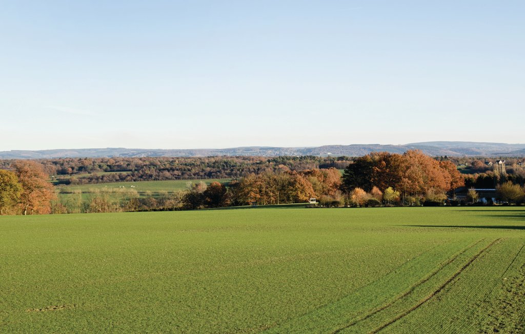 Ferienhaus - Durbuy , Belgien - BLX179 18