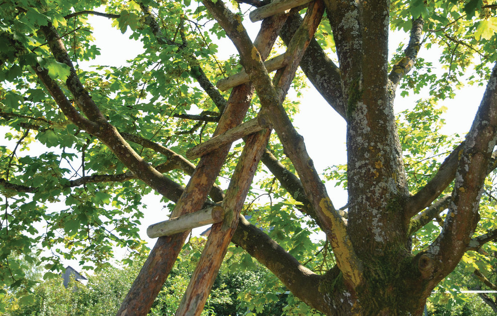 Feriehuse - Durbuy , Belgien - BLX055 13