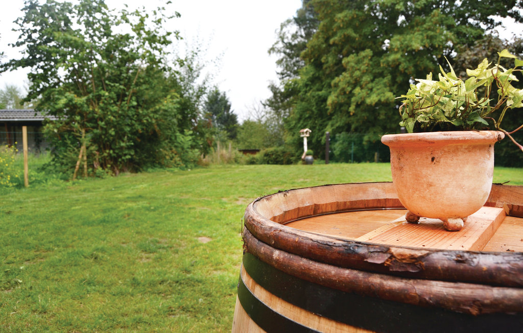 Ferienhaus - Erezée , Belgien - BLX136 23
