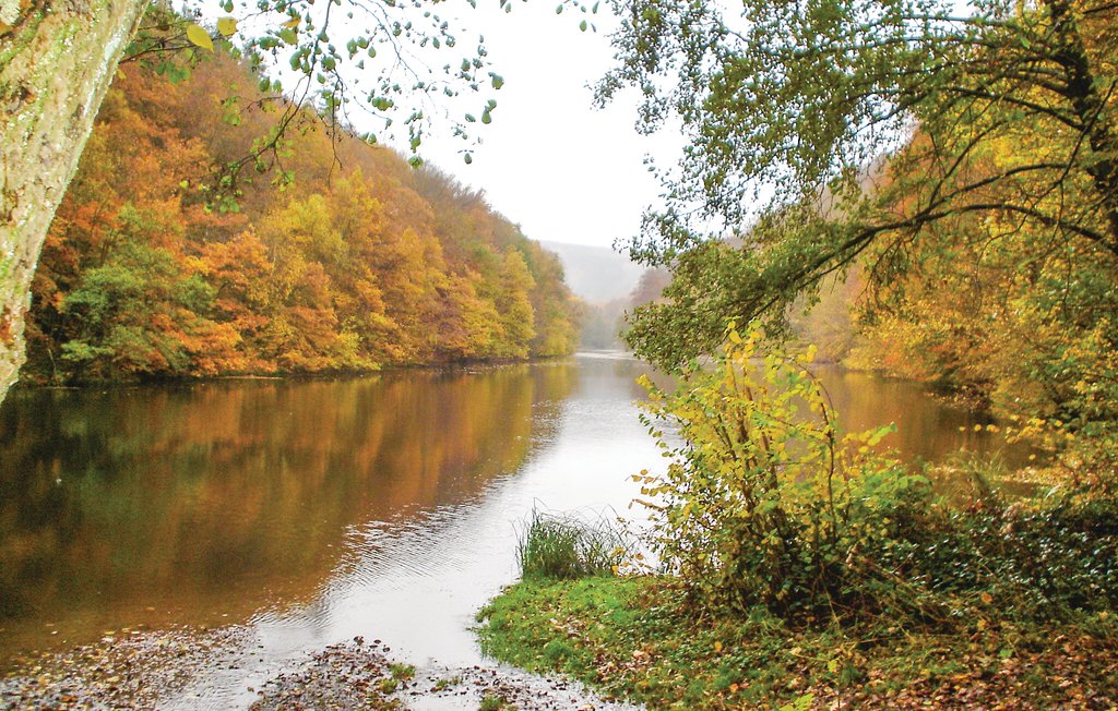 Feriehuse - Wibrin , Belgien - BLX201 8