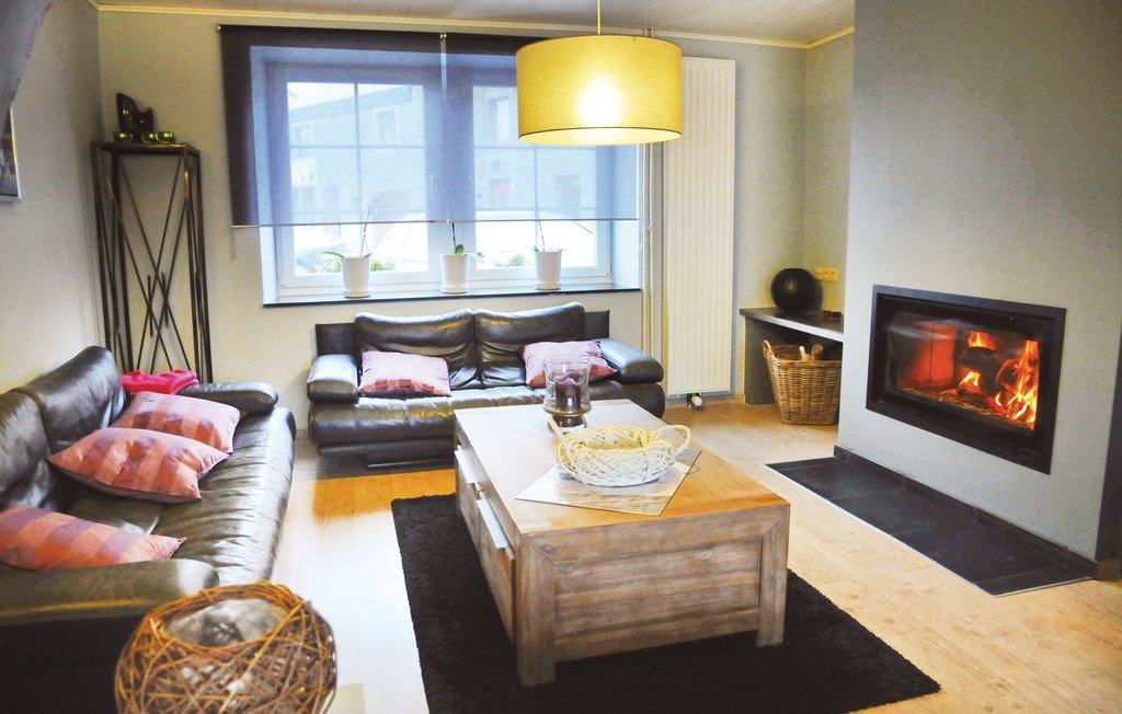 Ferienhaus - Erezée , Belgien - BLX136 3