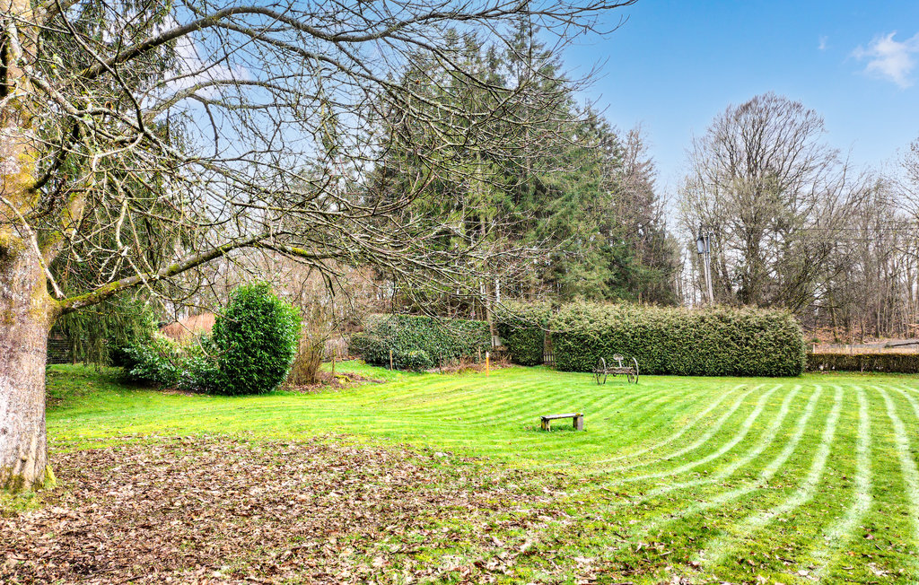 Semesterhus - Vielsalm , Belgien - BLX019 8