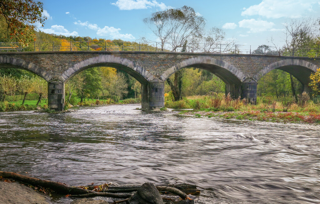 Location de vacances - Rendeux , Belgique - BLX077 8