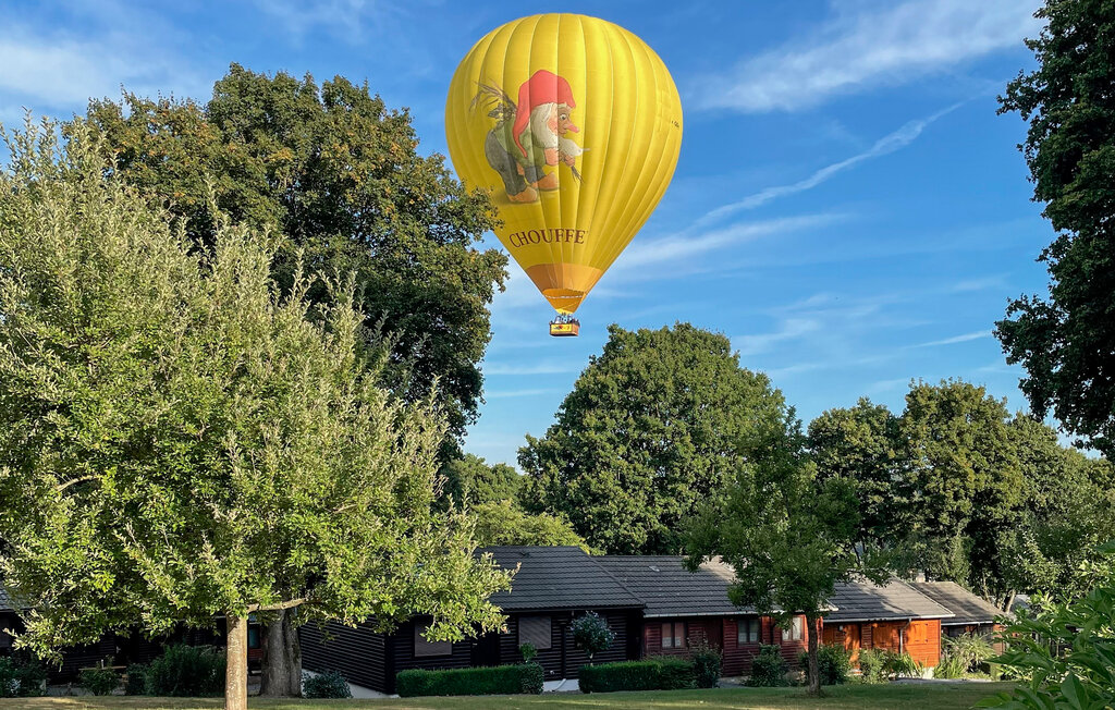 Location de vacances - Rendeux , Belgique - BLX077 24