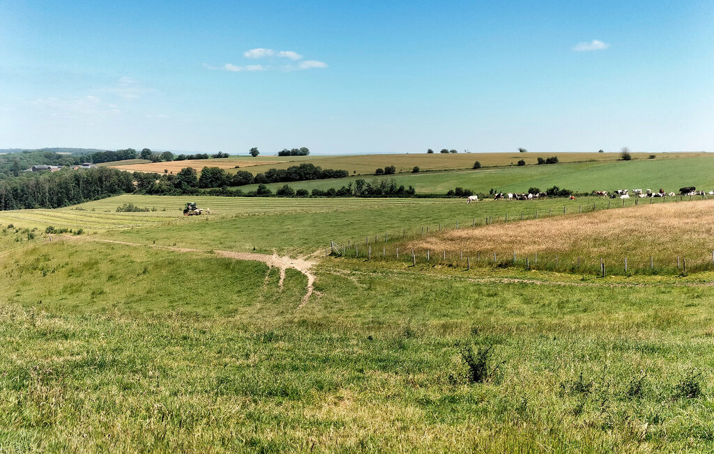 Location de vacances - Baraque de Fraiture , Belgique - BLX078 33