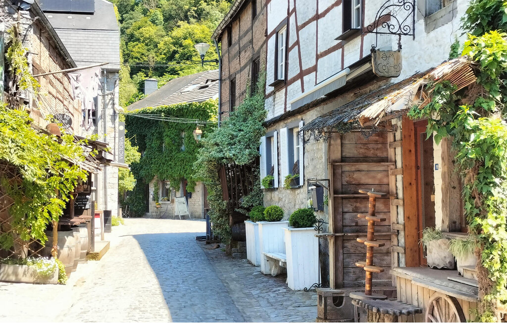 Location de vacances - Rendeux , Belgique - BLX093 17