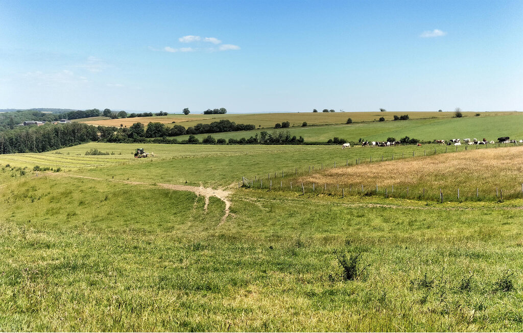 Location de vacances - Rendeux , Belgique - BLX094 19