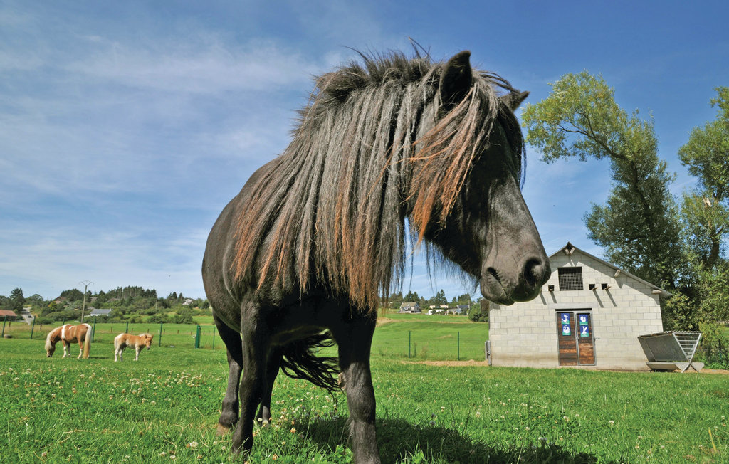 Ferienhaus - Somme-Leuze , Belgien - BNA033 25