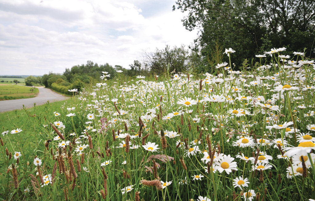 Feriehus - Hastière , Belgia - BNA040 17