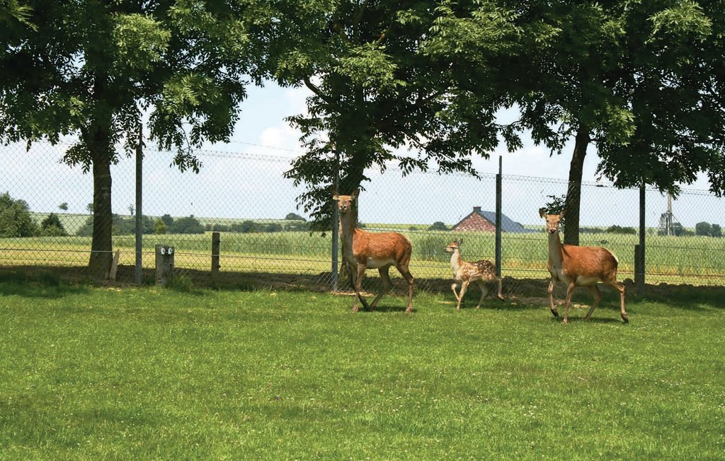 Ferienhaus - Somme-Leuze , Belgien - BNA035 5
