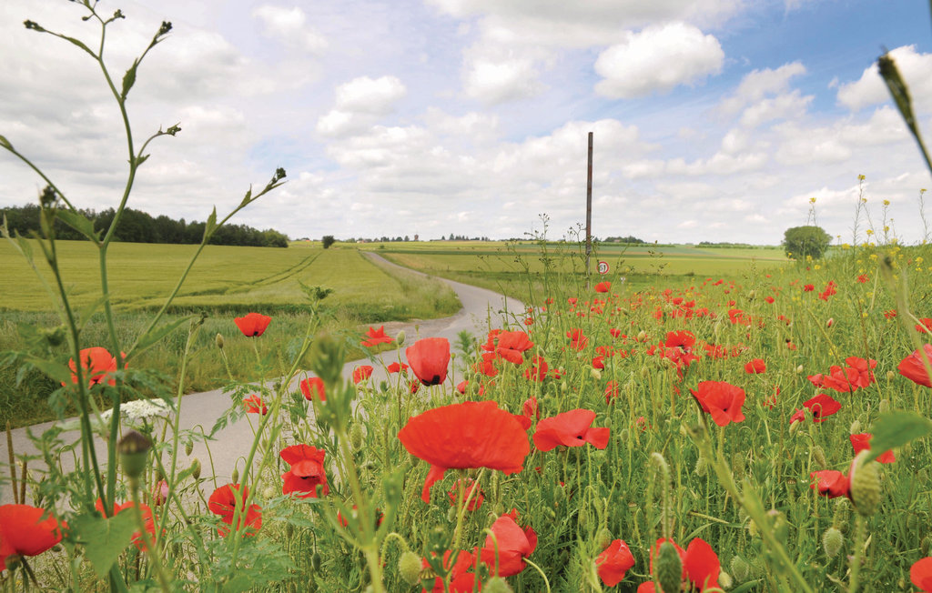 Ferienhaus - Hastière , Belgien - BNA041 16