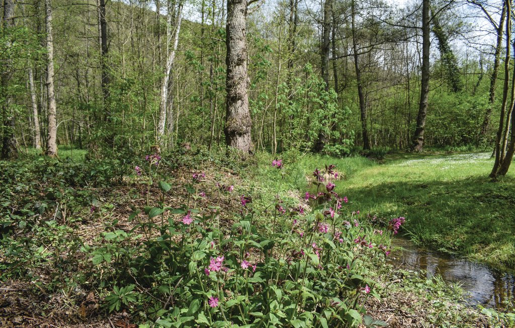 Feriehus - Beauraing , Belgia - BNA063 20