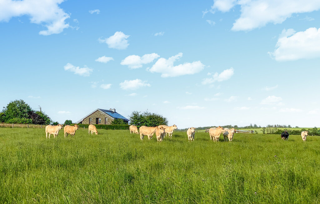 Ferienhaus - Vresse-sur-Semois , Belgien - BNA037 21