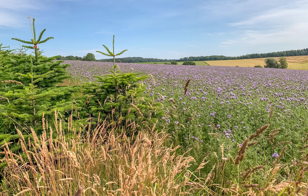 Ferienhaus - Vresse-sur-Semois , Belgien - BNA037 22