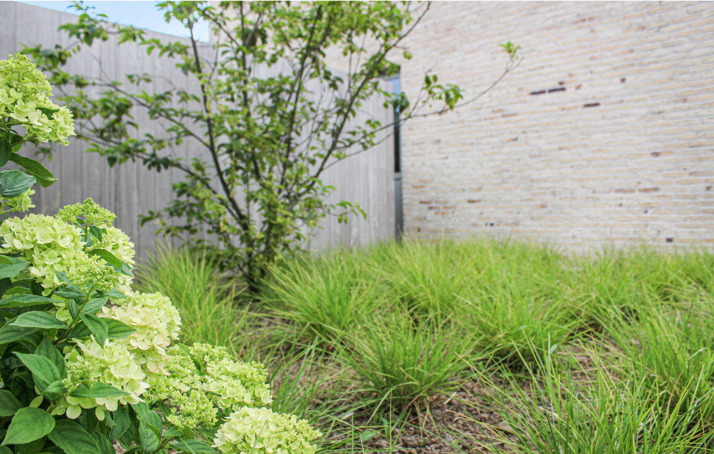 Semesterhus - Diksmuide , Belgien - BVA170 10