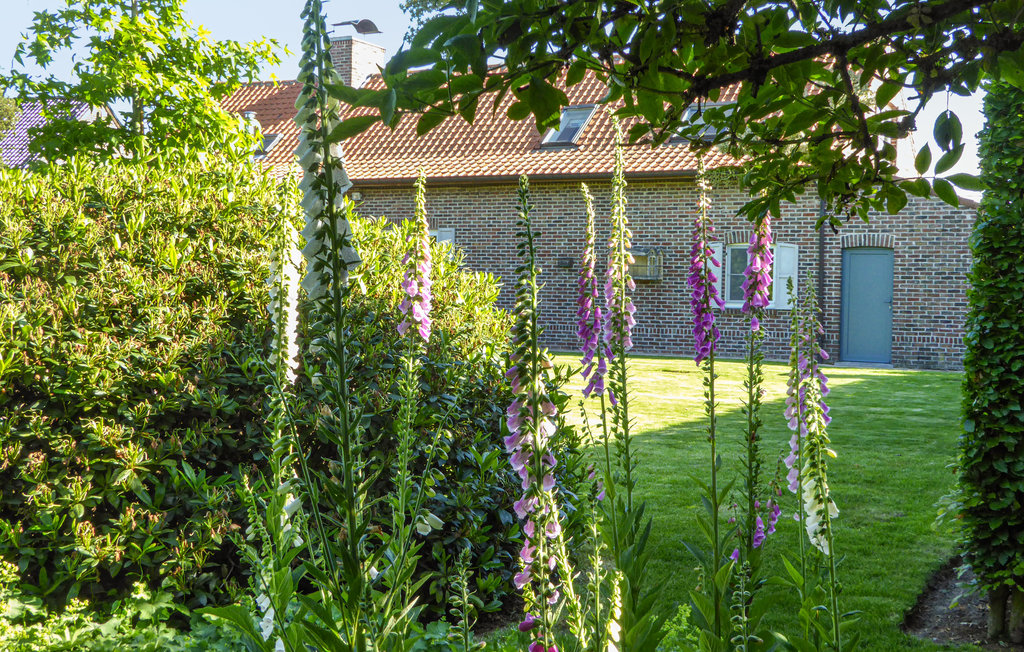 Feriehus - Kemmel , Belgia - BVA172 14