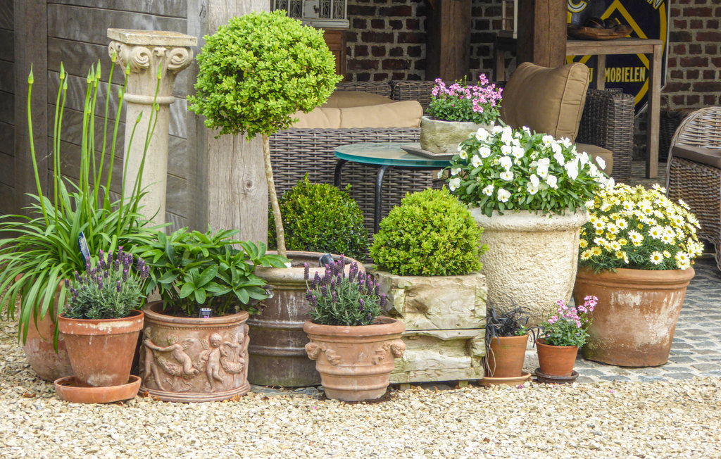 Feriehus - Kemmel , Belgia - BVA172 15