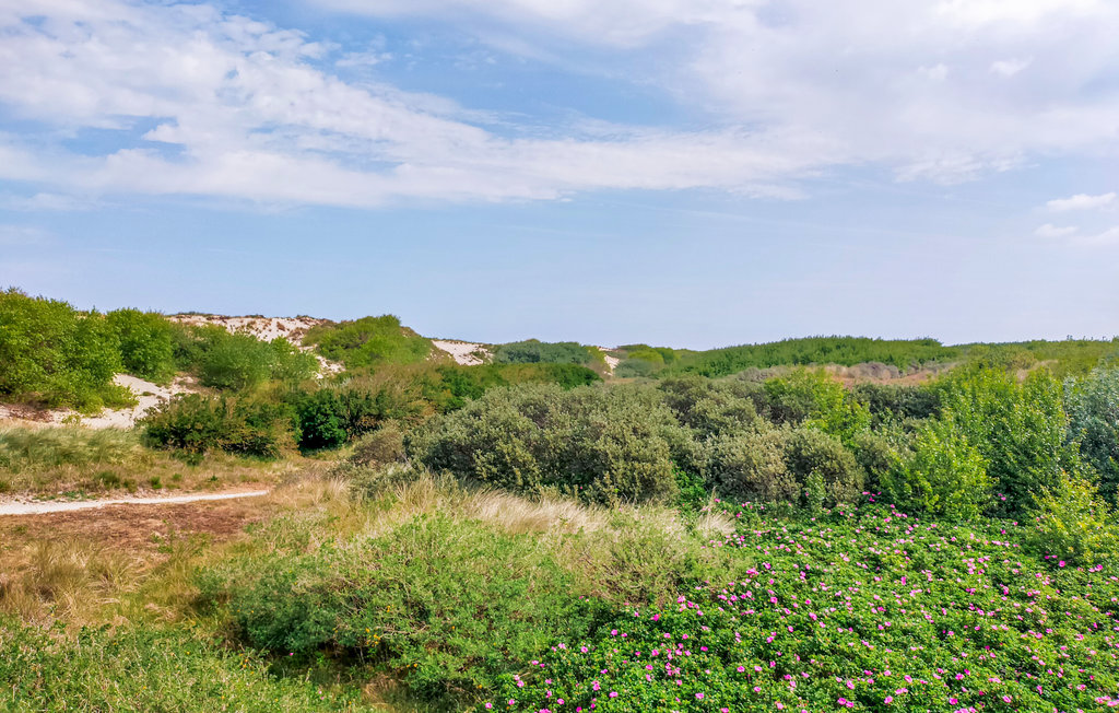 Semesterhus - Bredene , Belgien - BVA359 14
