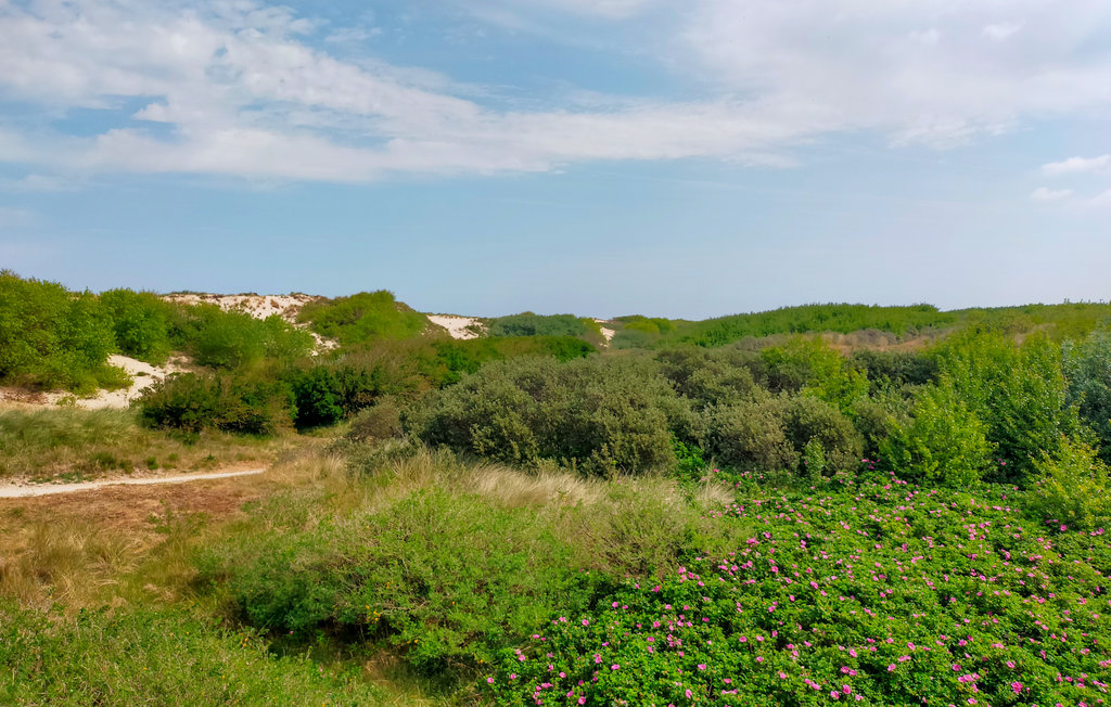 Ferienhaus - Bredene , Belgien - BVA360 22