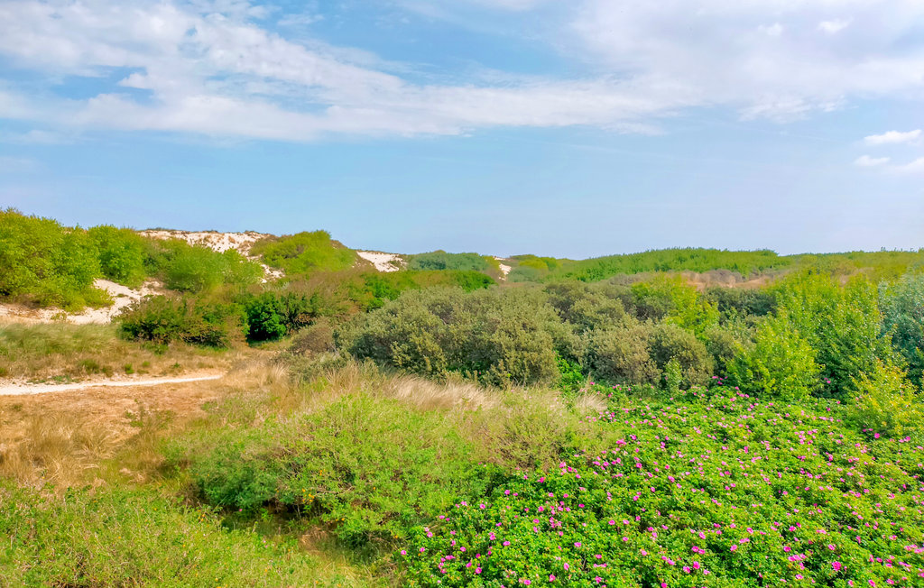 Feriehus - Bredene , Belgia - BVA362 19