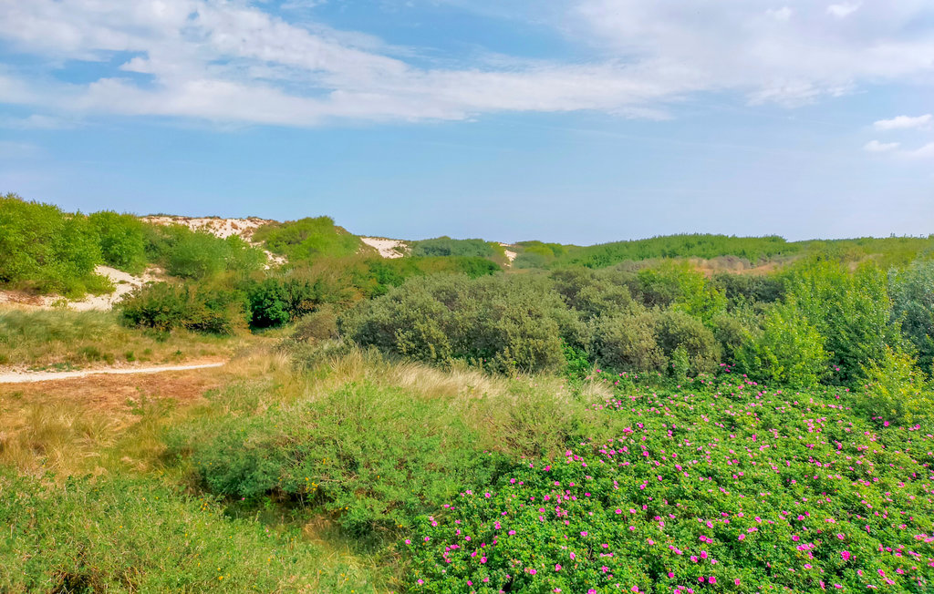 Semesterlägenhet - Bredene , Belgien - BVA365 14