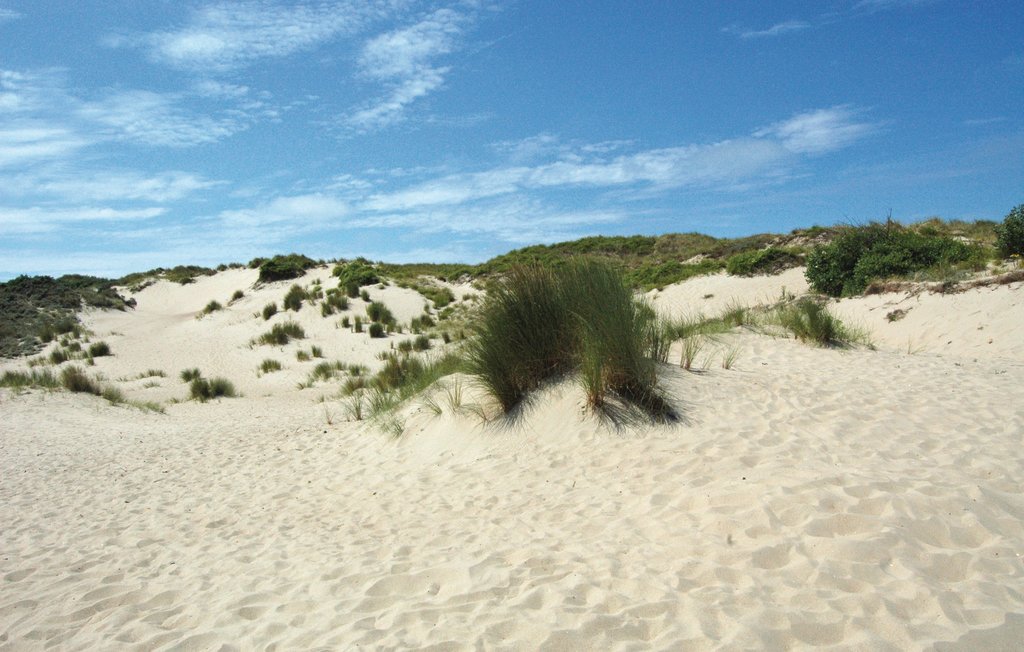 Ferienwohnung - Koksijde/Oostduinkerke , Belgien - BVA163 14