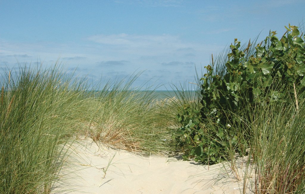 Ferienwohnung - Koksijde , Belgien - BVA092 15
