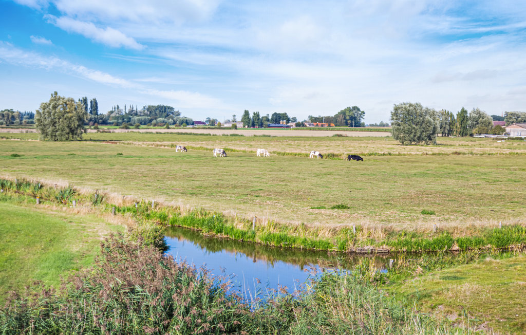 Feriehus - Diksmuide , Belgia - BVA177 23